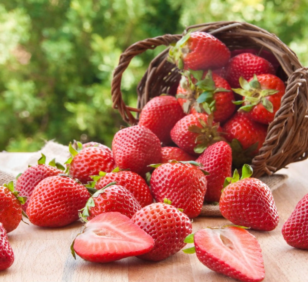 Fraise