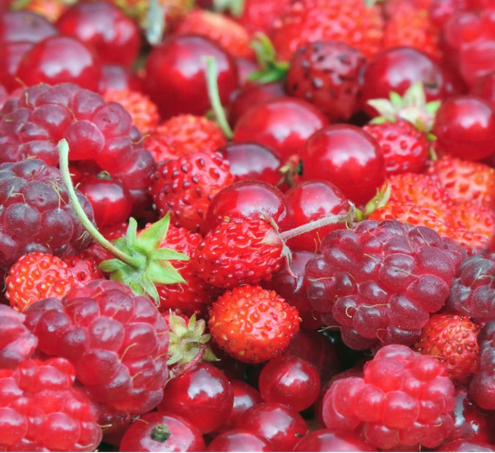 Fruits rouges