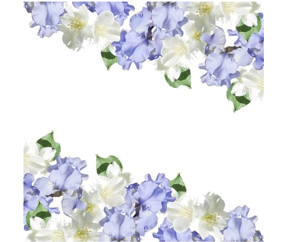 Iris Jasmin