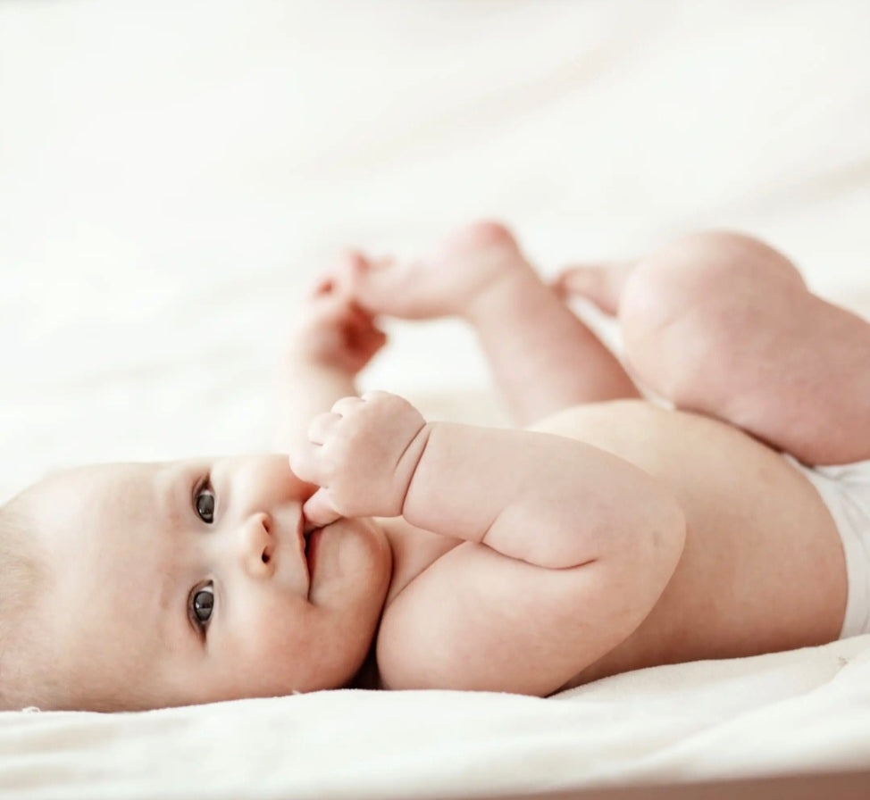 Mustiti (dupe de Mustella)