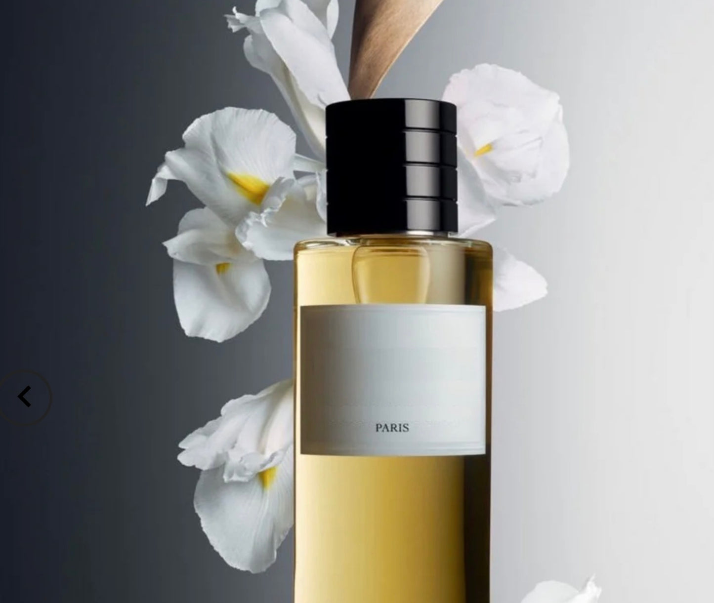 Forêt argentée (inspiré Bois d'argent pour homme)