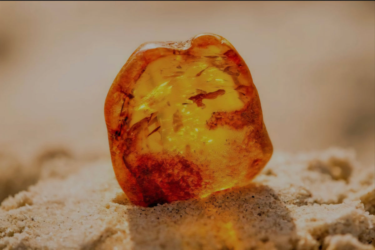 Ambre vanille