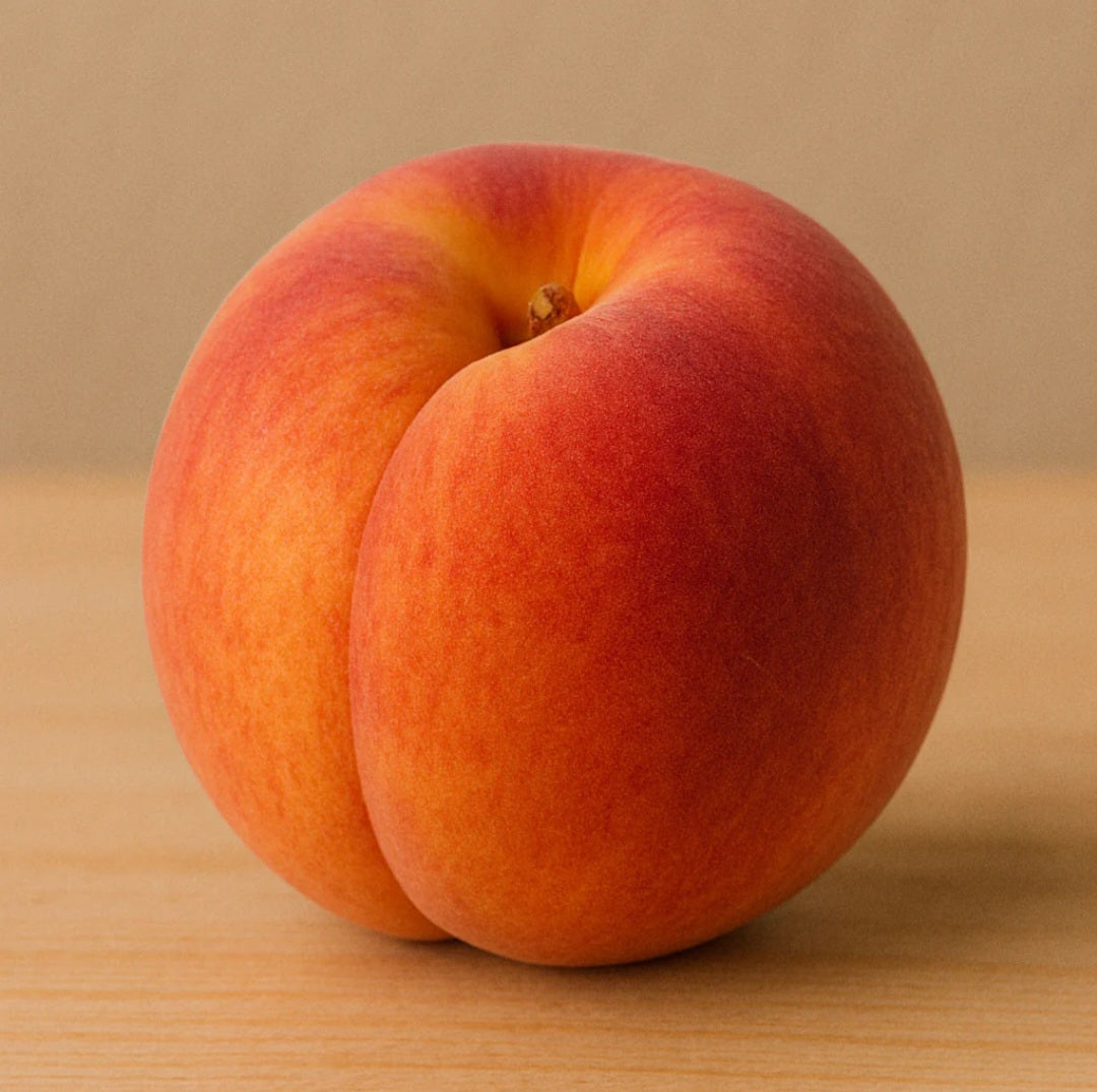 Pêche