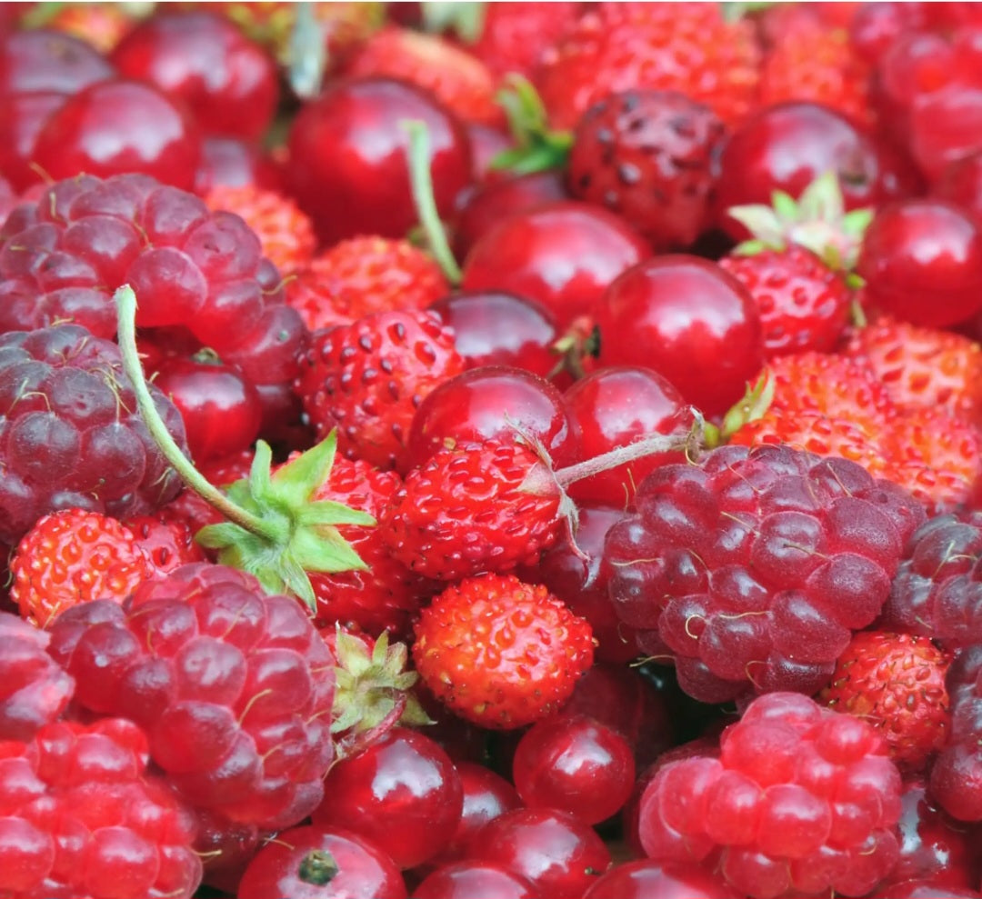 Fruits rouges