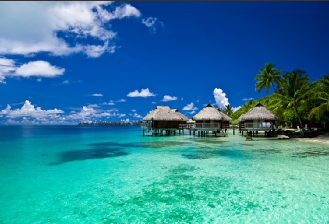 Lagon tropical (Accord frais, bambou, aloès)