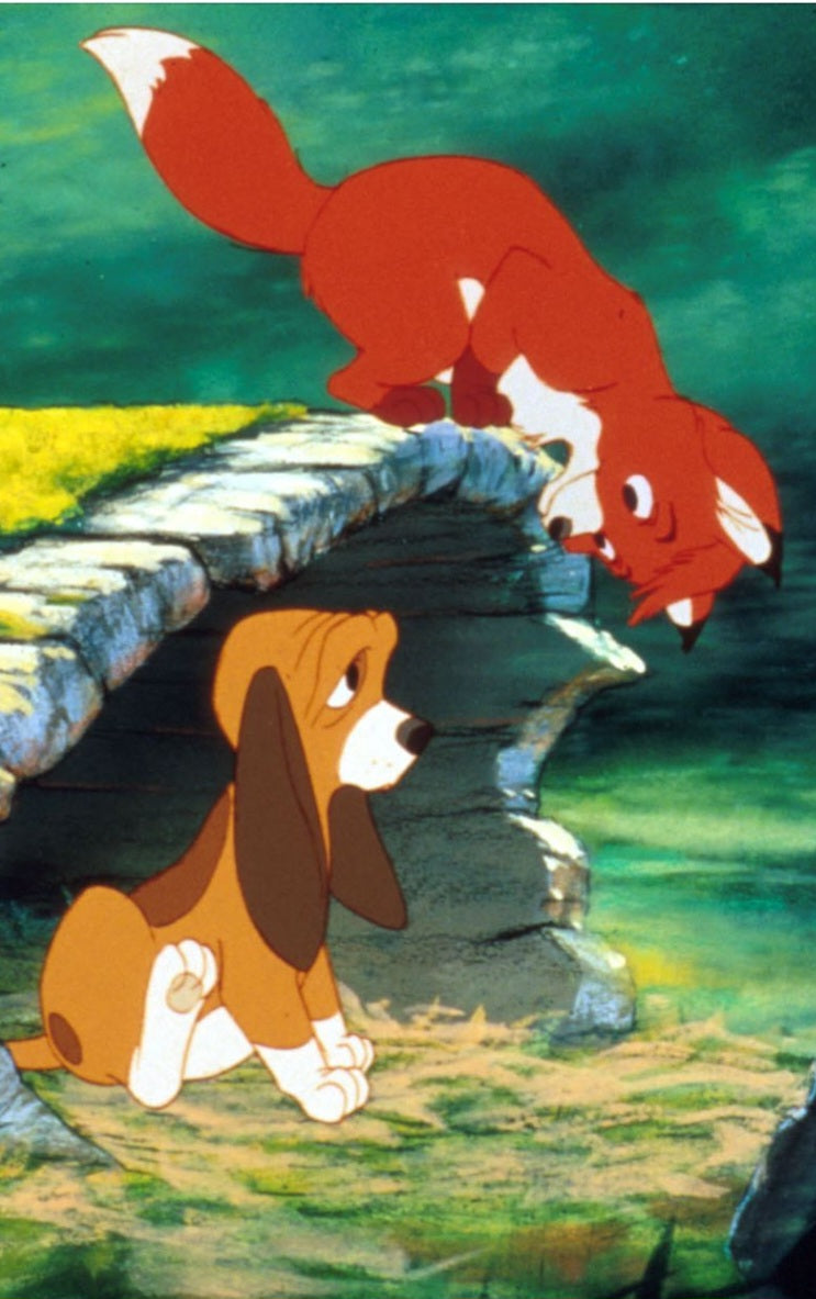 Rox et roucky (Pomme, miel, bois doux)