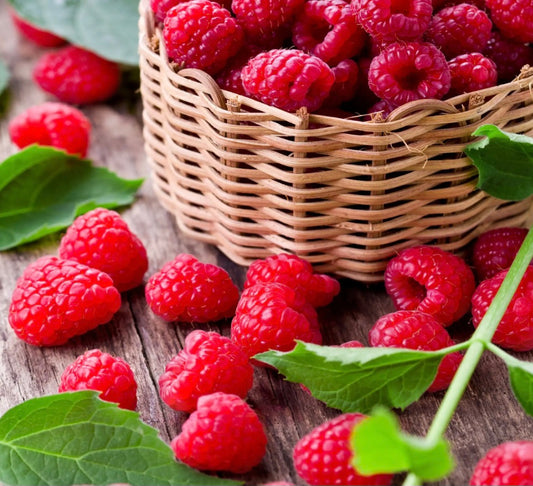 Framboise