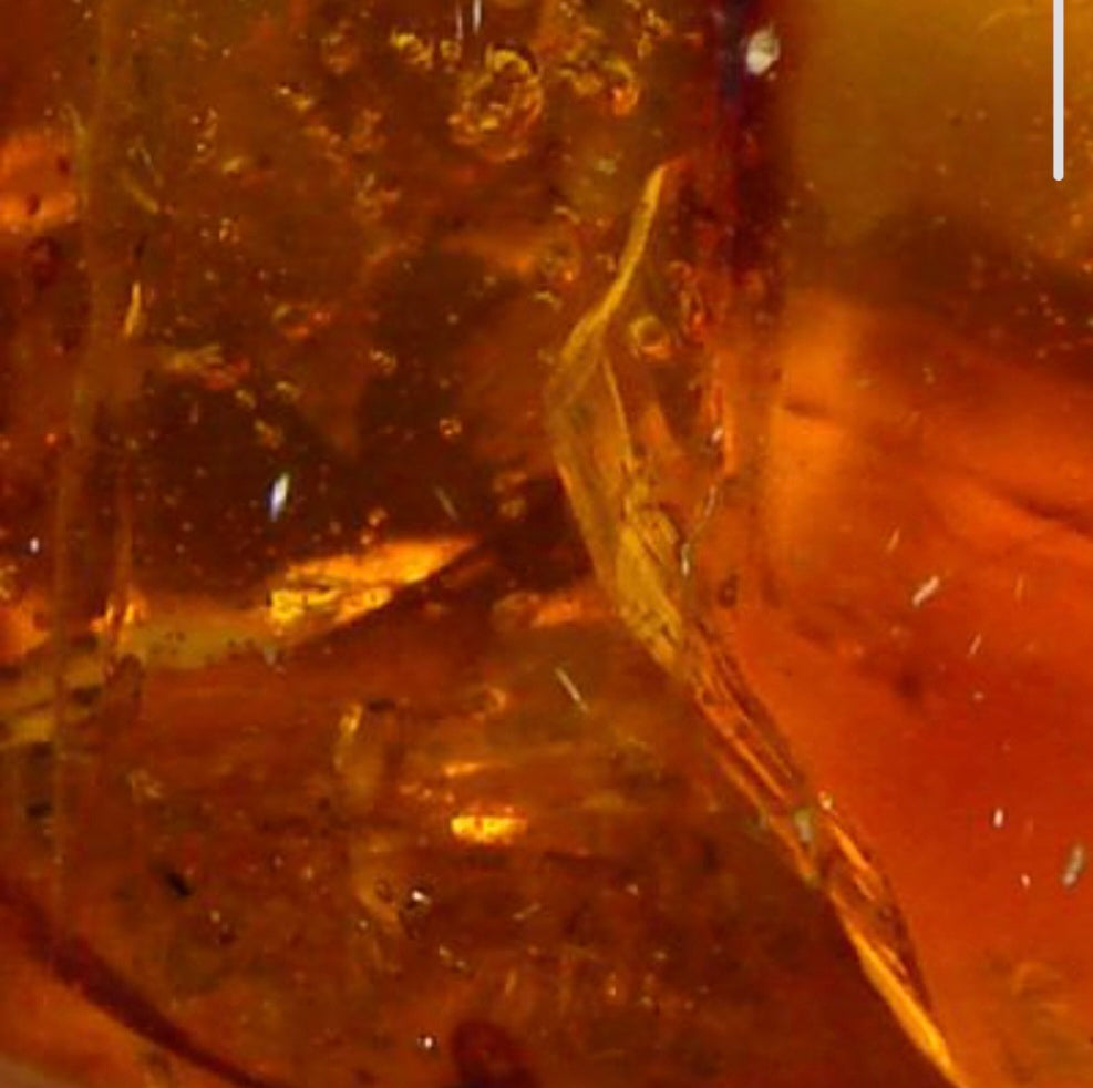 Eau d'ambre (Citron, orange, fleurs blanches)