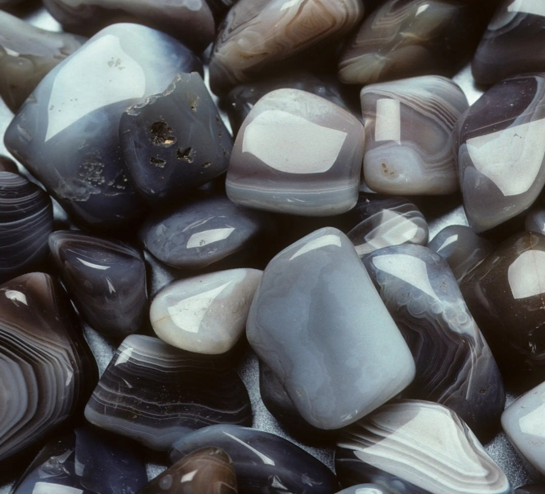 Onyx (vanillé, florale, boisé)