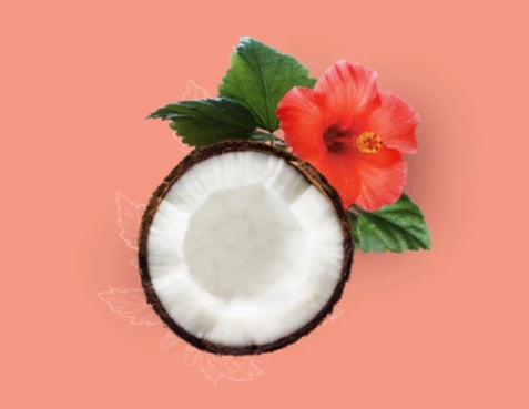 Coco hibiscus