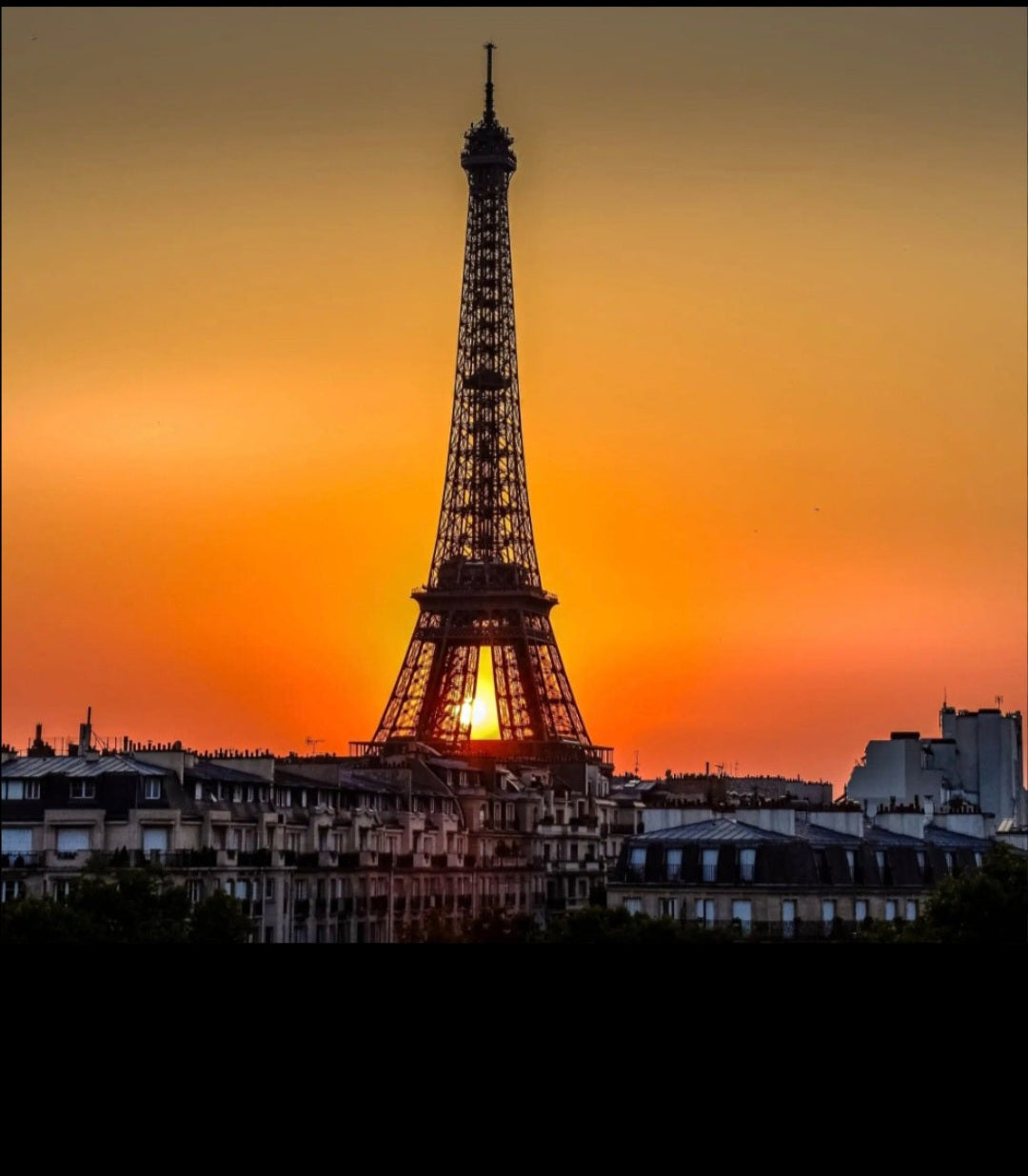 Une nuit à Paris (Orange, mandarine, rose, jasmin)