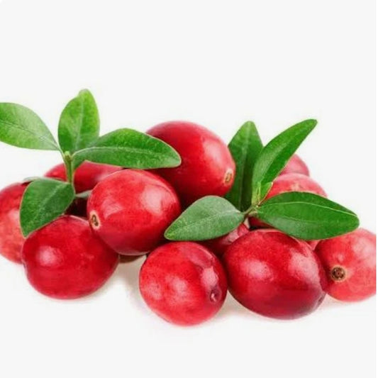 Jelly cranberry slush (Cranberry, citron vert pétillant, sucre brun)