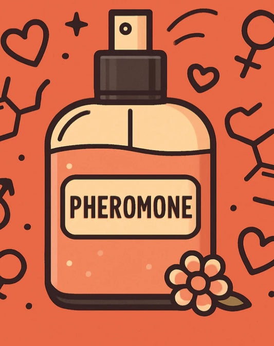 Jelly phéromone (Bergamote, pamplemousse, florale blanc, boisé violet)