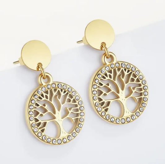 Boucles d'oreille en acier inoxydable Réf 23
