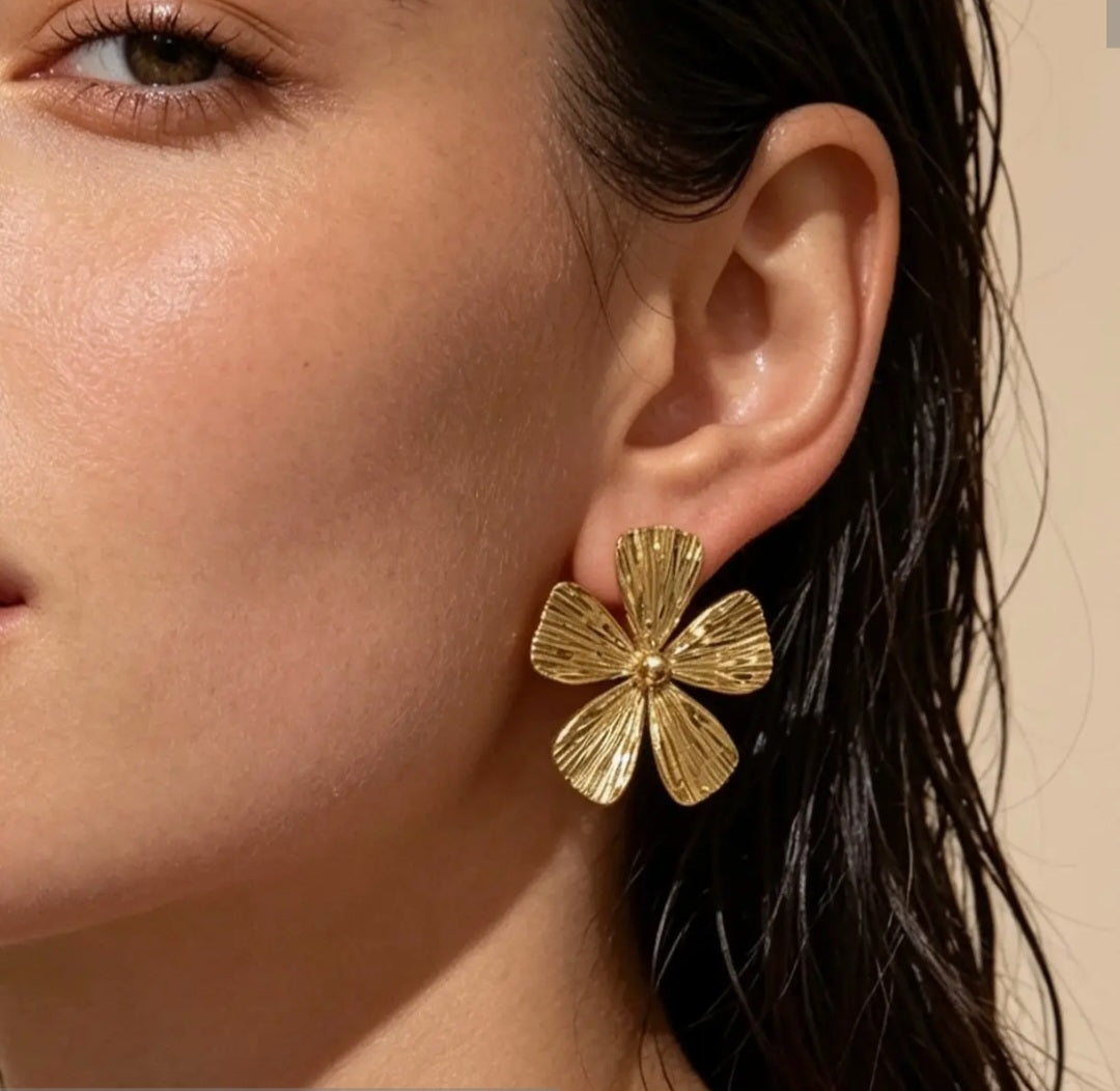 Boucles d'oreille en acier inoxydable Réf 24