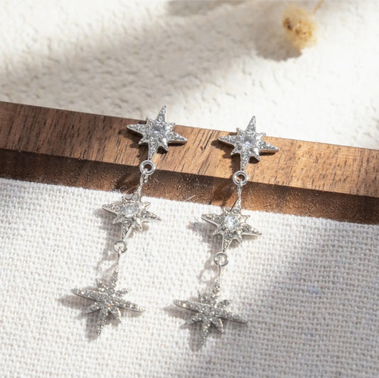 Boucles d'oreilles en acier inoxydable Réf 113