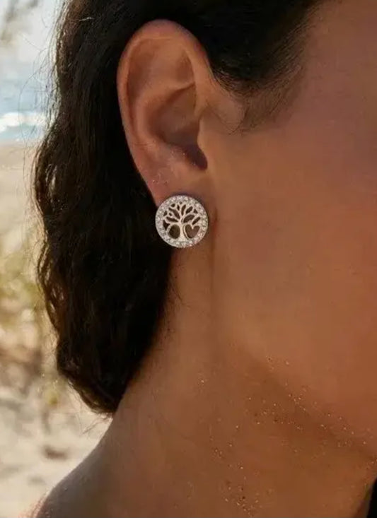 Boucles d'oreilles en acier inoxydable (argenté) Réf 129