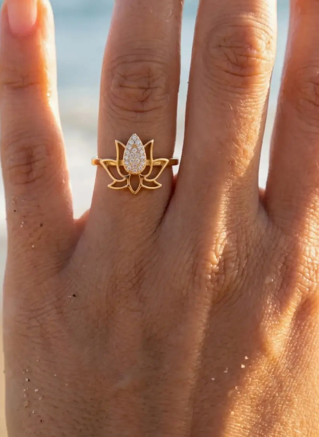 Bague réglable en acier inoxydable Réf 139
