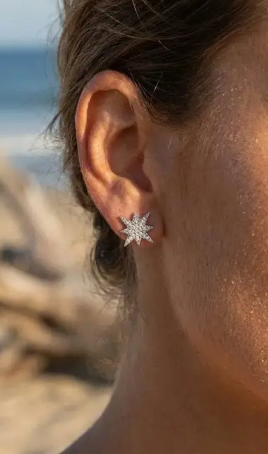 Boucles d'oreilles en acier inoxydable Réf 158